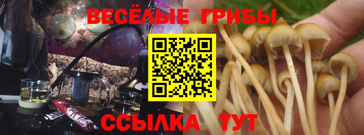 Галлюциногенные грибы Psilocybe  Галлюциногенные грибы ЛСД  Старая Купавна  Вход с VPN 